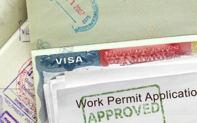 How to Deal with Delays in Visa Processing: What You Can Do to Stay Prepared