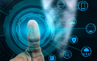 The Role of Biometrics in Visa Processing: What You Need to Know