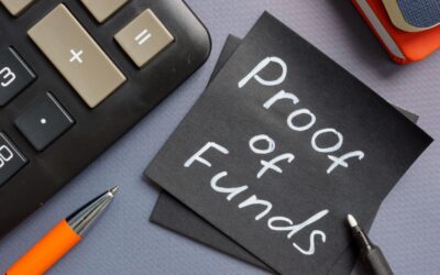 Using Fintech Bank Statements for Proof of Funds: Will Embassies Accept Them?