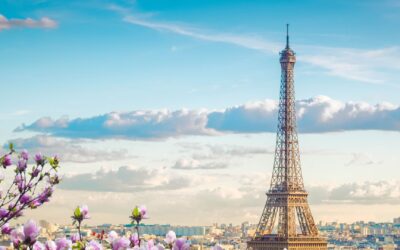 Navigating Ireland as a Nigerian Student: Scholarships, Part Time Jobs, and Settlement Tips