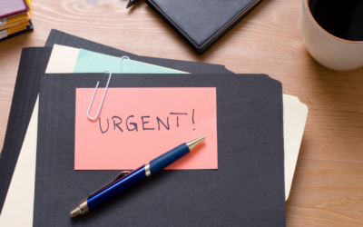 The “Emergency Travel Claim Challenge”: Why Urgent Travel Requests Often Require More Evidence Than Applicants Expect